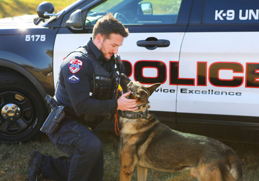 K9-6